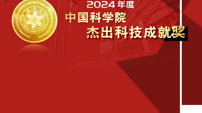 Nginx API 网关插件开发：揭秘定制化解决方案的奥秘